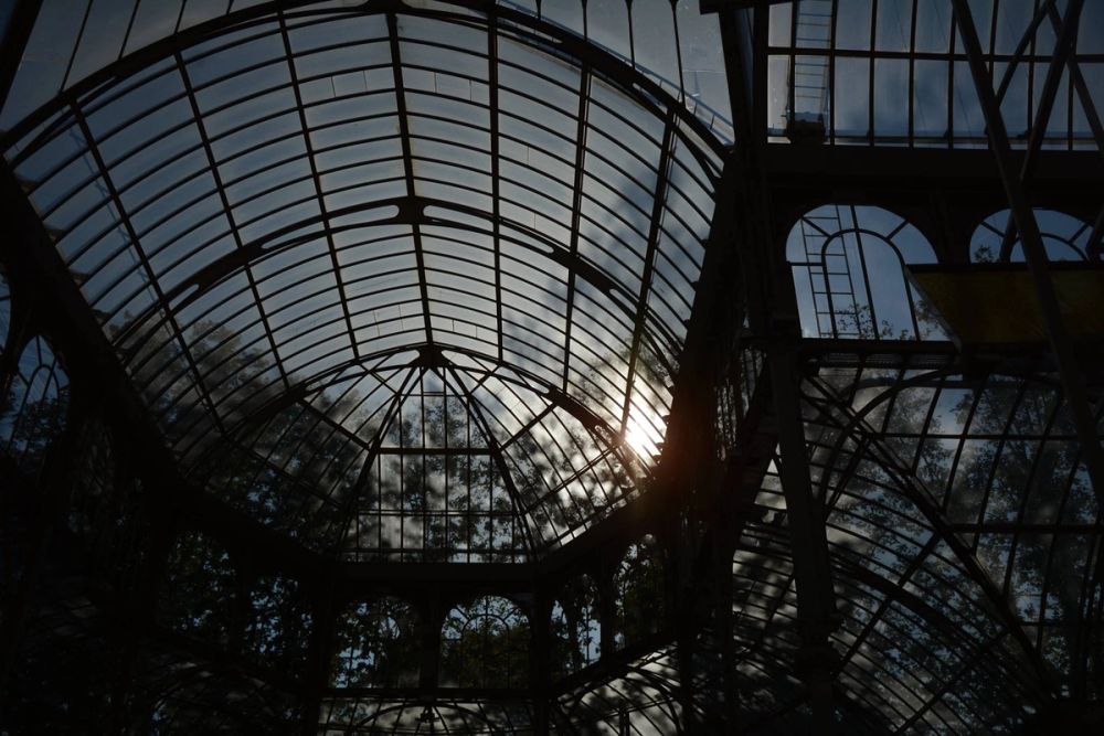 Parque del Retiro (Madrid) 18-08-2017