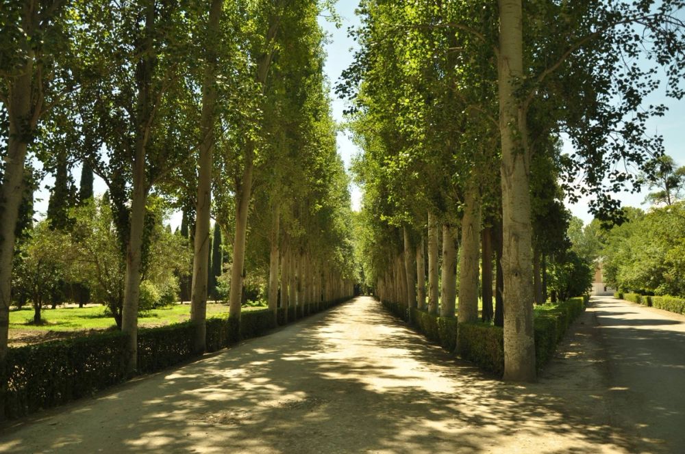 Aranjuez 2016