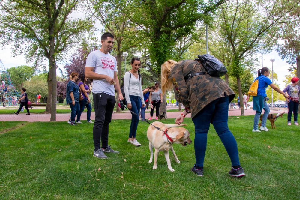IV Ruta canina en Leganes 22-09-2019