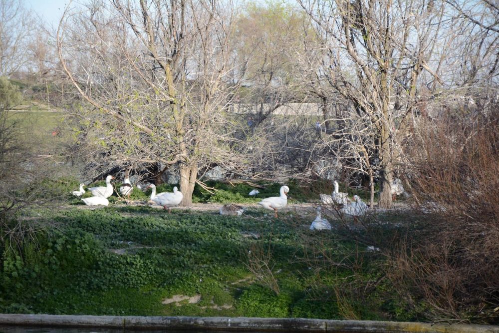 Parque Polvoranca (Leganes) 18-03-2017