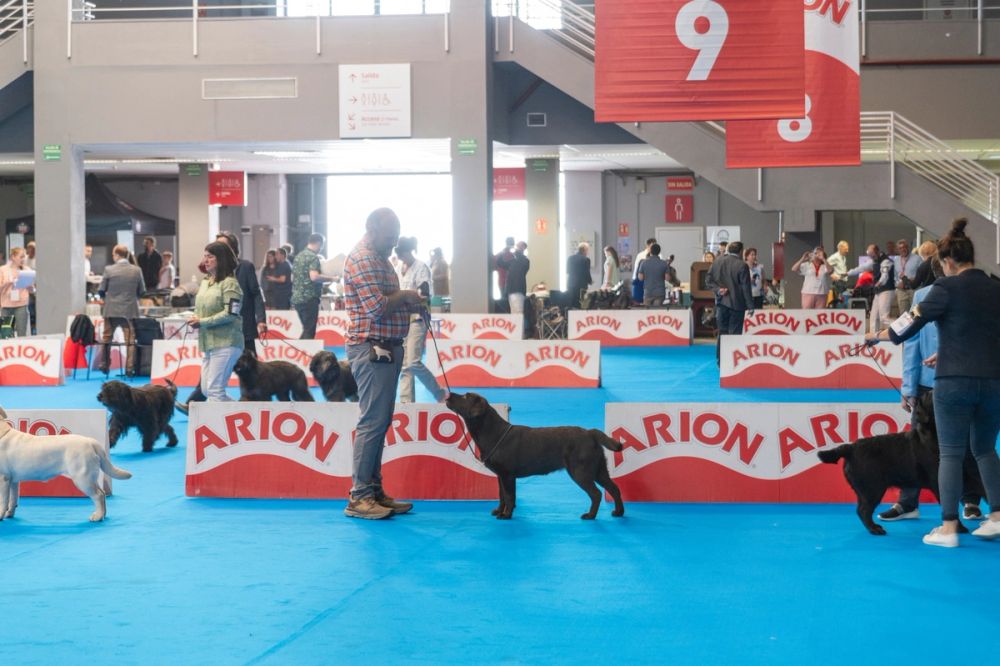 Exposicion canina (ciudad real) 01-06-2024
