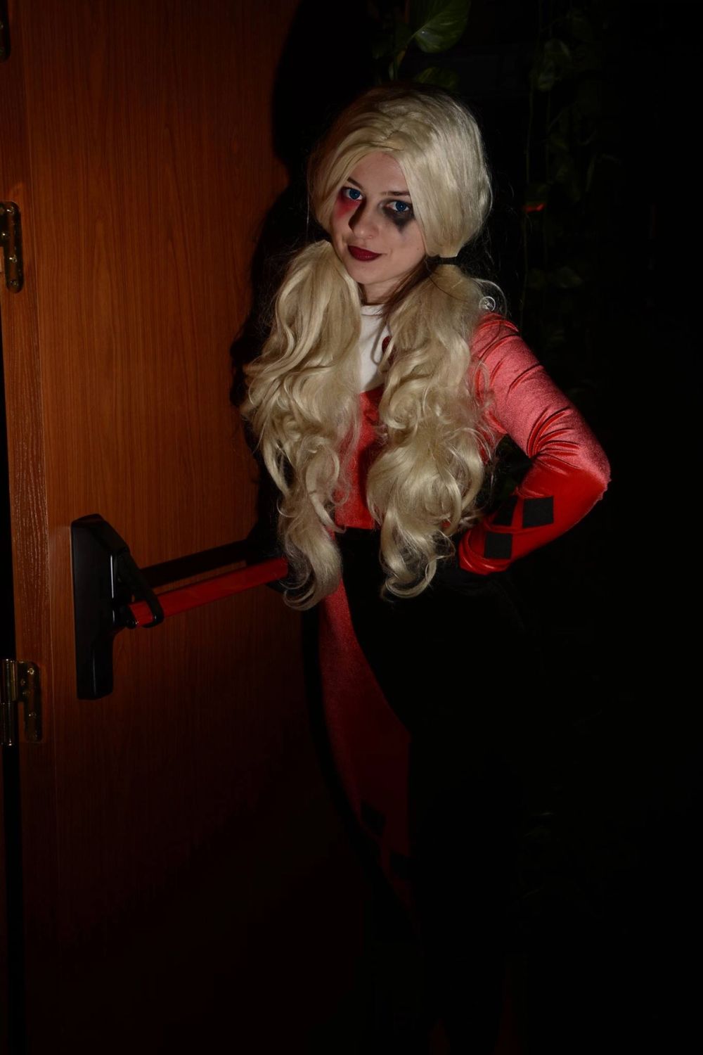 harley quinn 24-02-2019