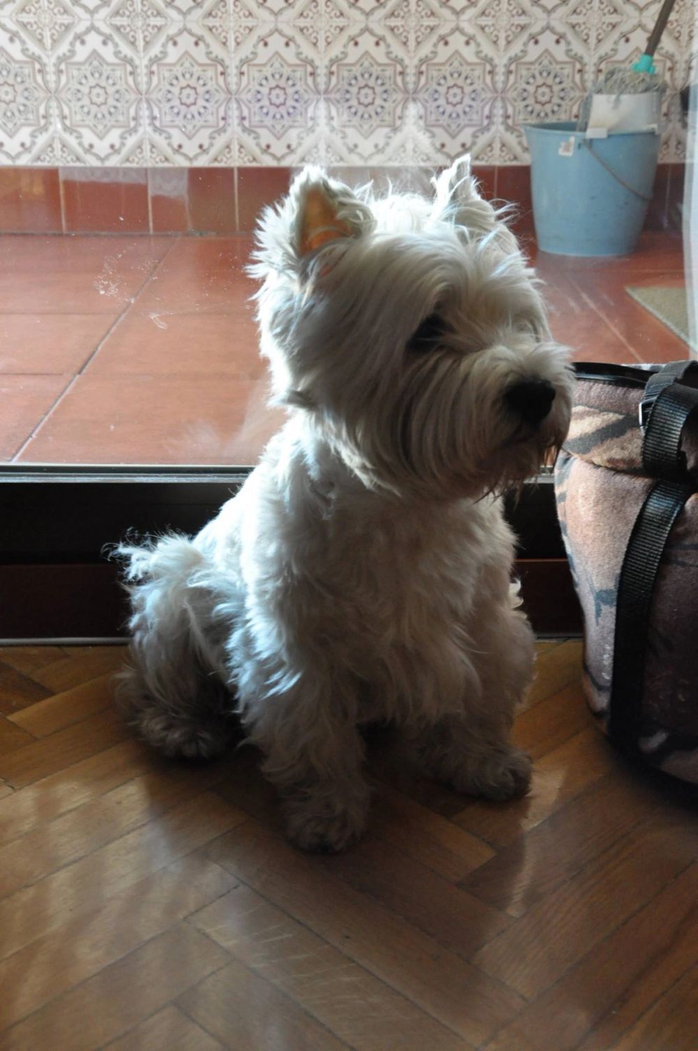 Luckky