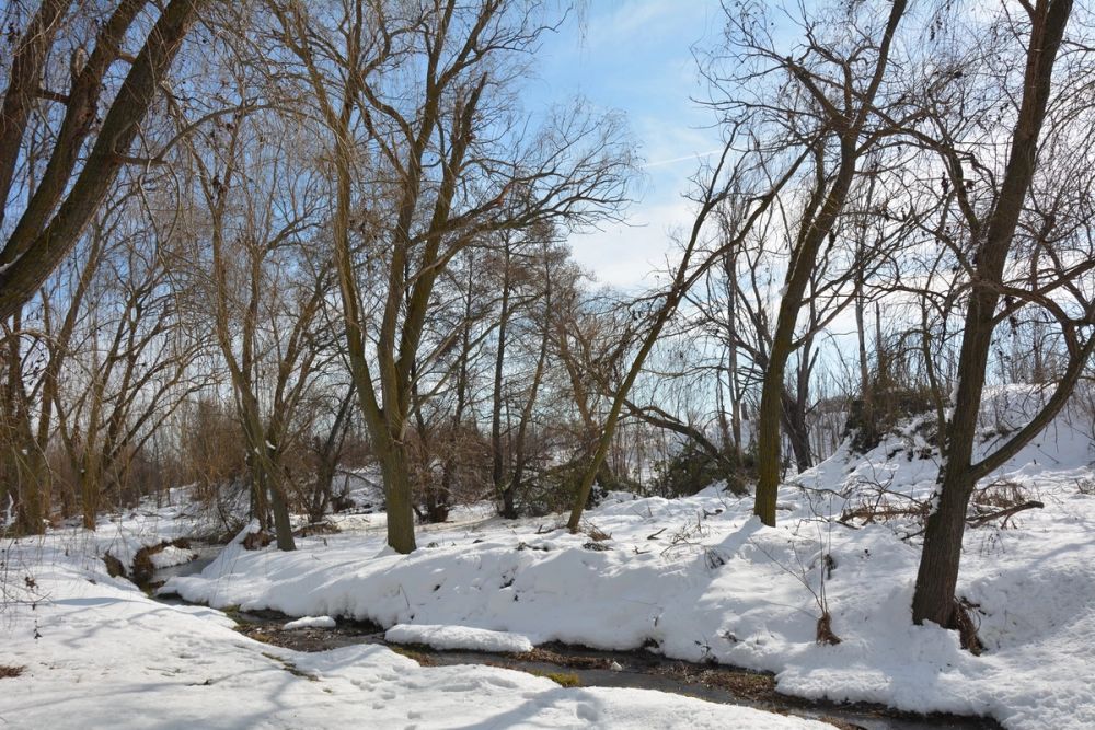 Leganes Nevado 2021 Dia 3