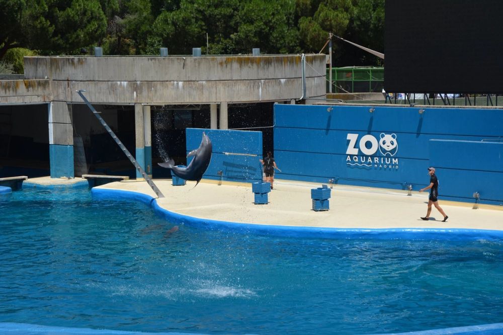 zoo 07-07-2018
