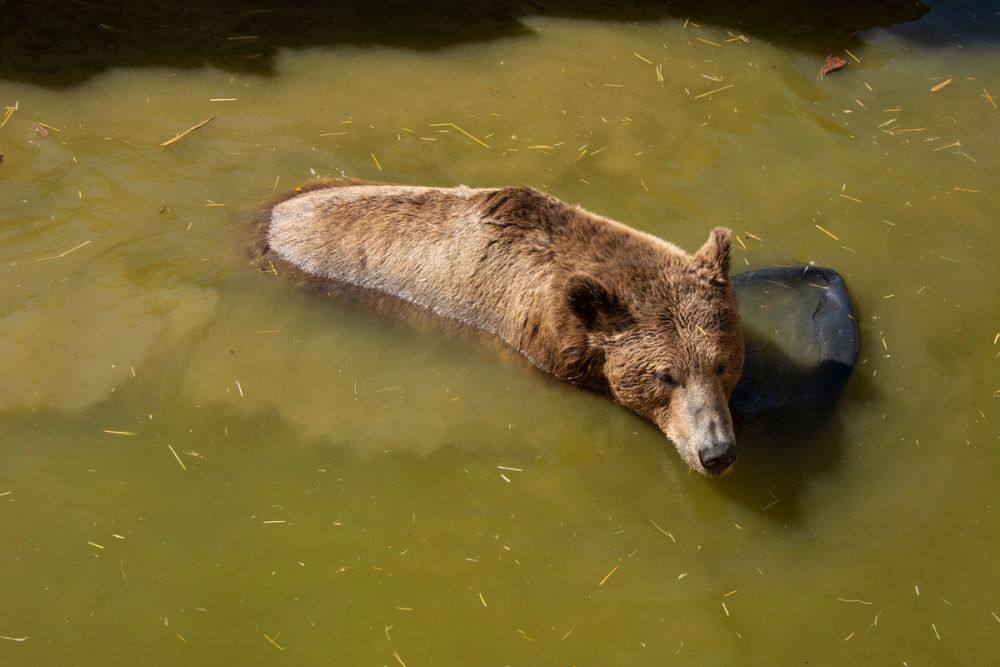 Zoo de Lillo 03-09-2022