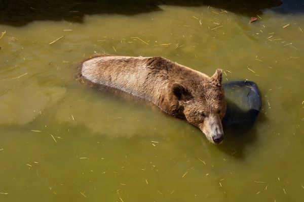 Zoo de Lillo 03-09-2022