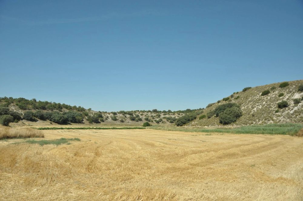 Valle de Lillo 2017