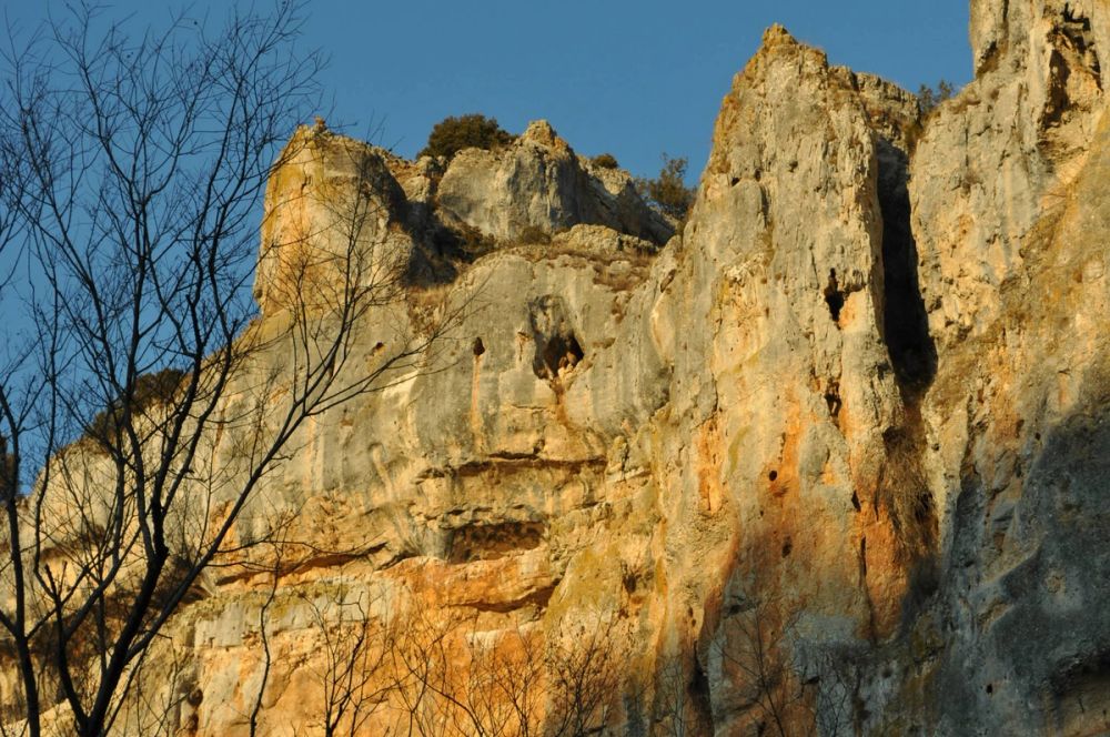 Rio lobos (Burgos/Soria) 2012