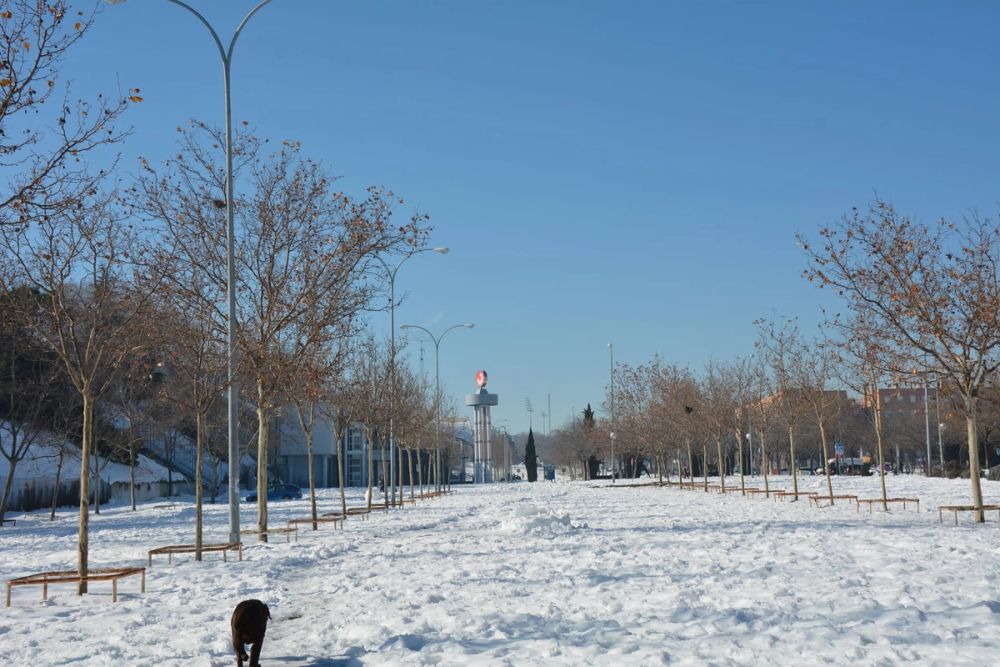 Conan en la nieve (leganes) 2021