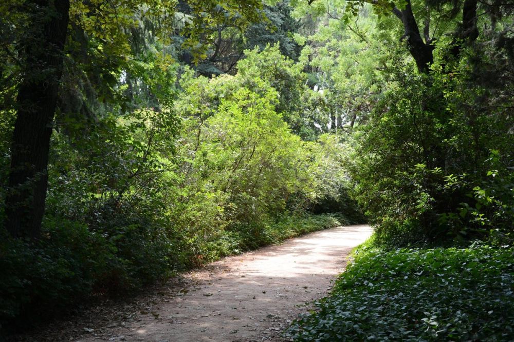 Parque de El capricho (Madrid) 2018