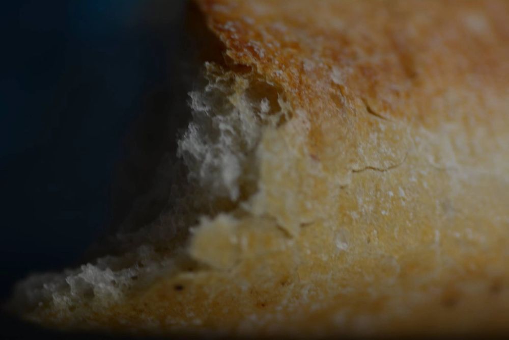 Fotografia Macro 2018