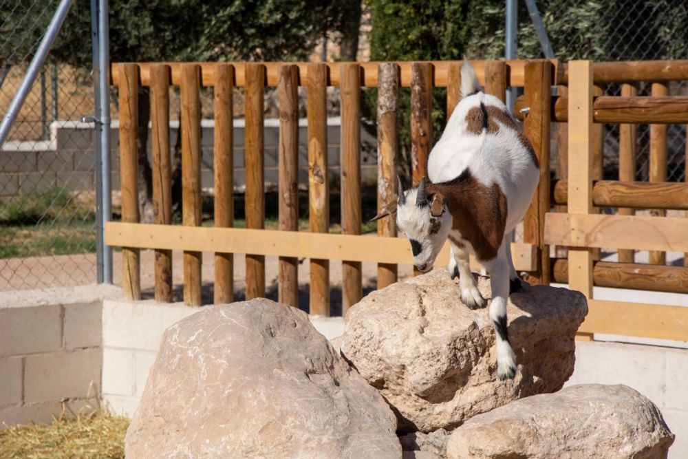 Zoo de Lillo 03-09-2022