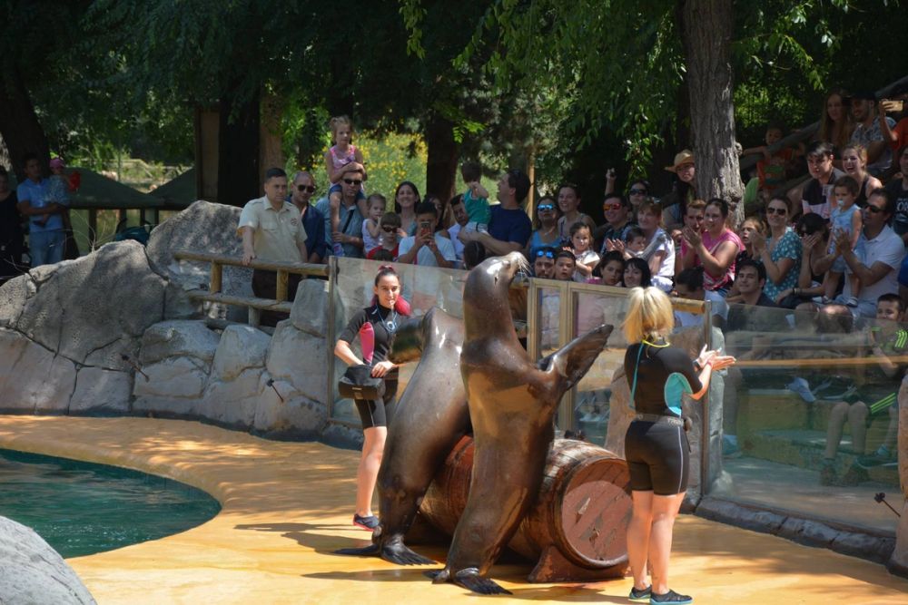 zoo 07-07-2018