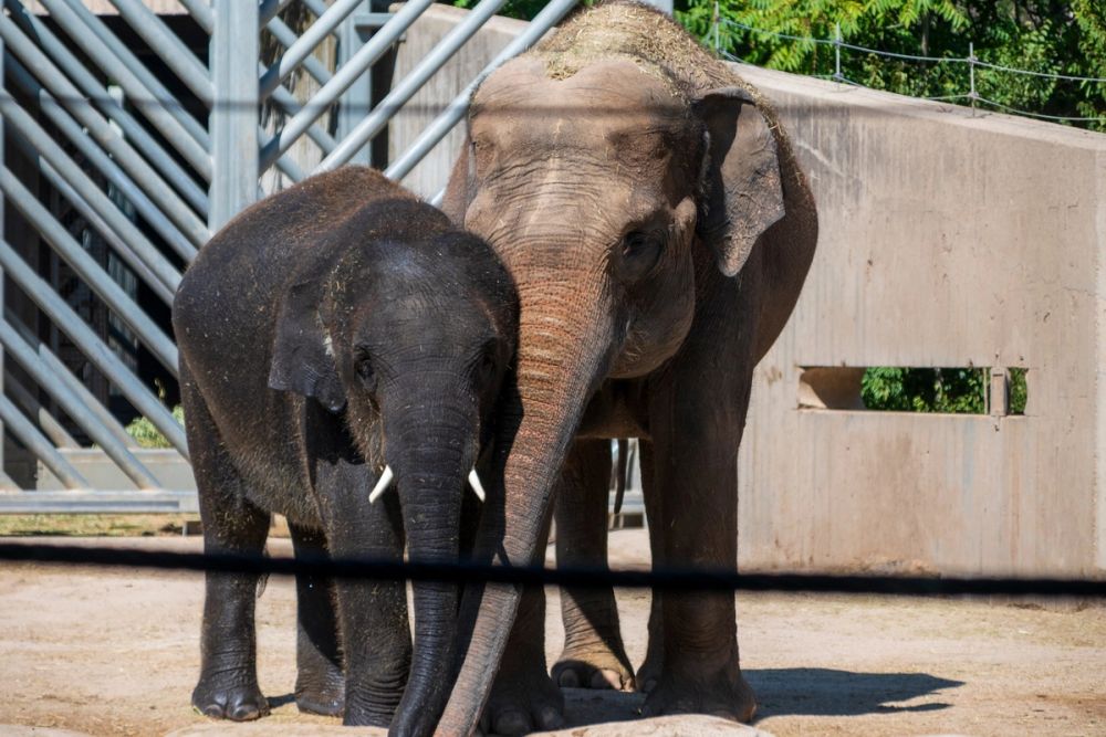 Zoo 17-08-2024