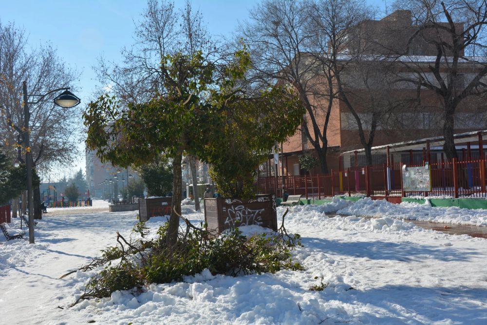 Leganes Nevado 2021 Dia 4