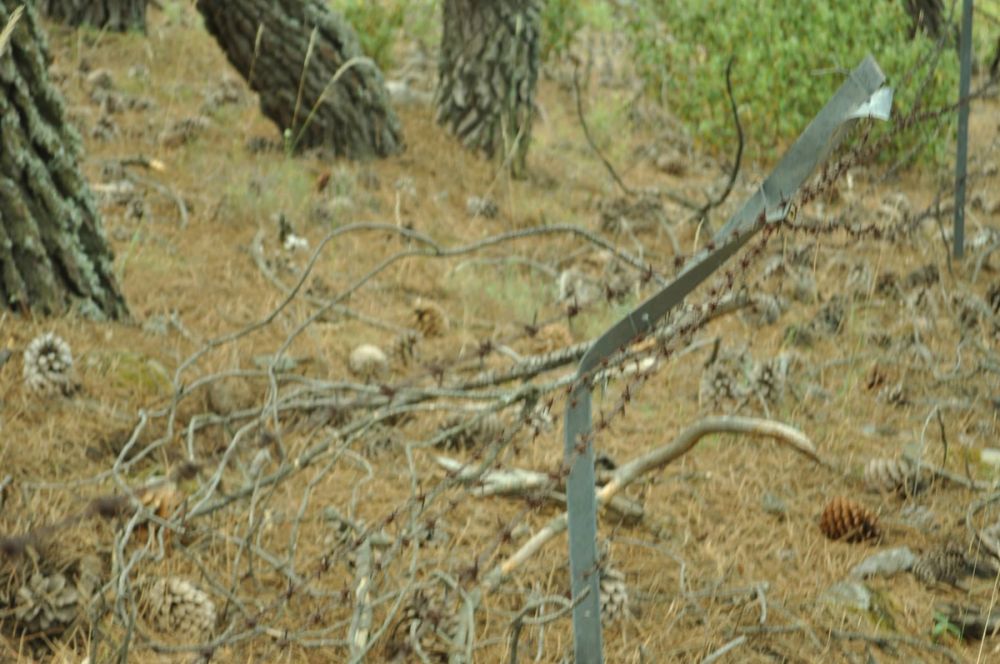 Berrecil de la sierra 10-07-2013
