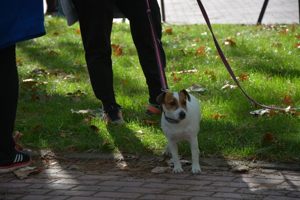V ruta canina de Leganes 20-09-2020