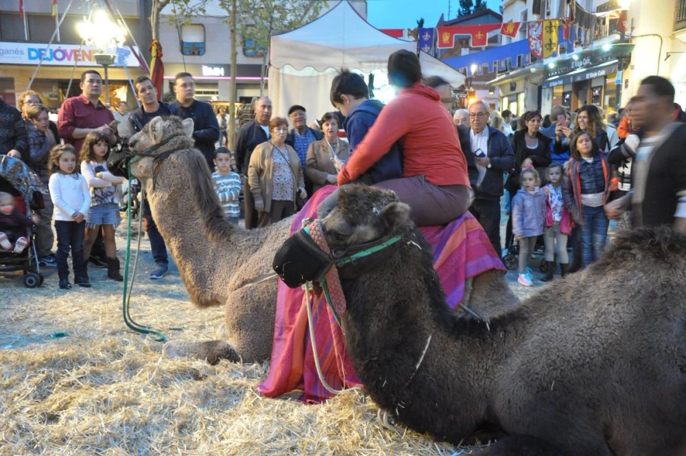 Feria Mediaval (Leganes) 2016
