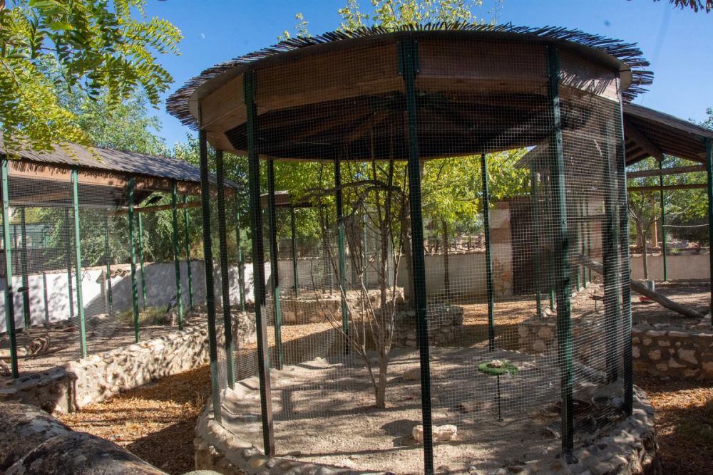 Zoo de Lillo 03-09-2022
