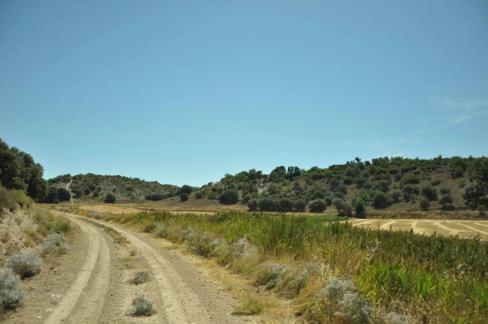 Valle de Lillo 2017