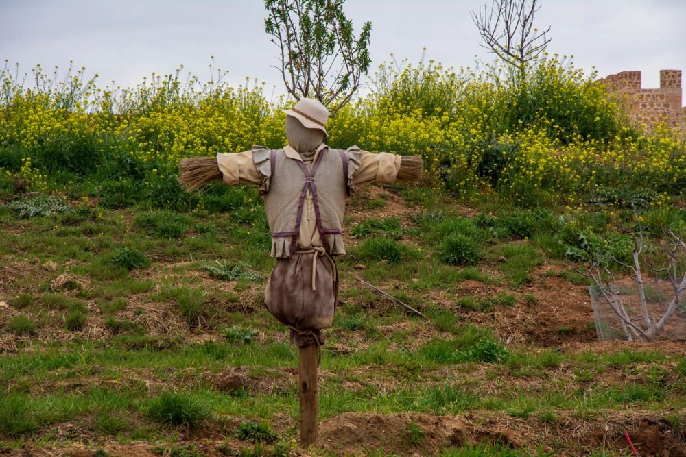 Puy Du Fou 19-03-2022