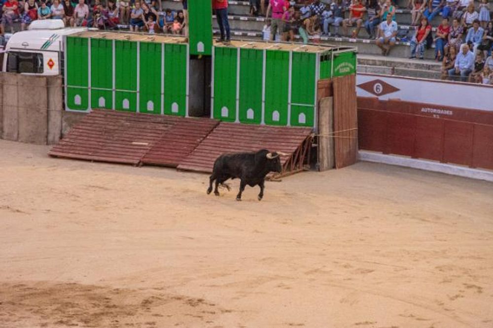 Toros en Colmenar Viejo 22-08-2019
