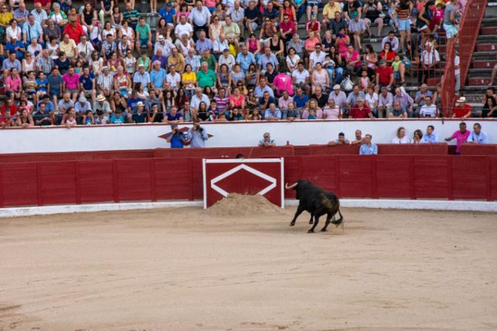 Toros en Colmenar Viejo 22-08-2019