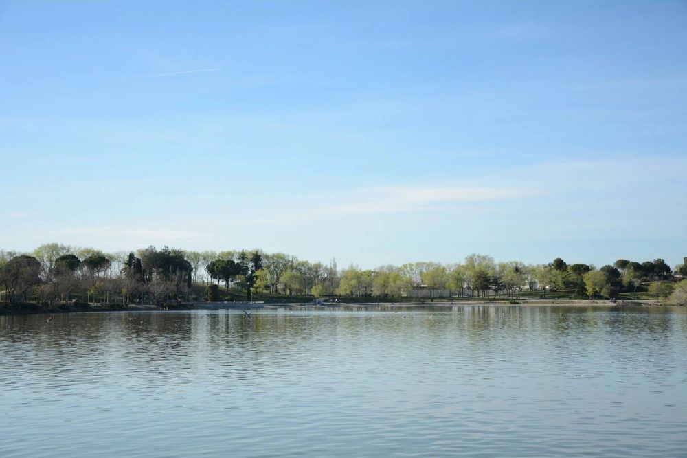 Parque Polvoranca (Leganes) 18-03-2017