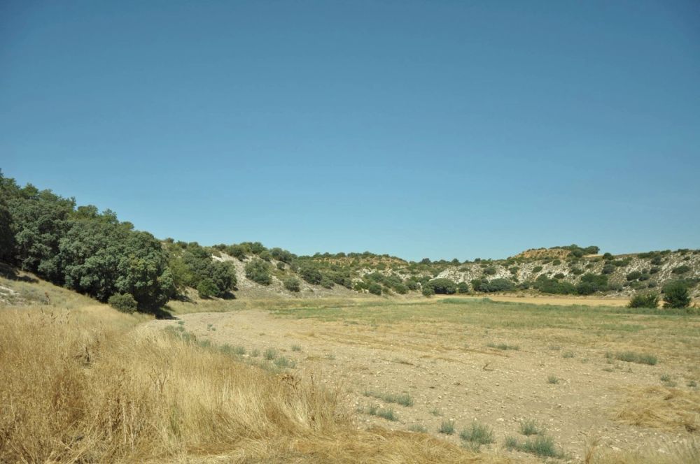 Valle de Lillo 2017