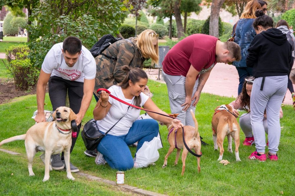 IV Ruta canina en Leganes 22-09-2019