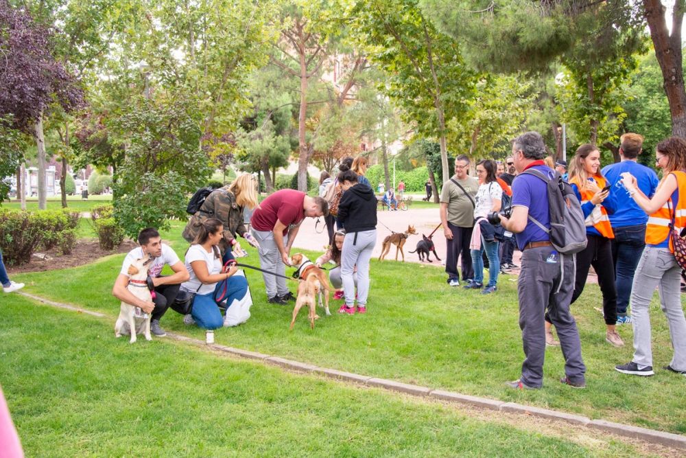 IV Ruta canina en Leganes 22-09-2019