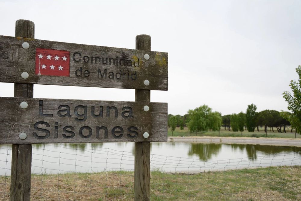 Parque polvoranca (Leganes) 10-06-2019