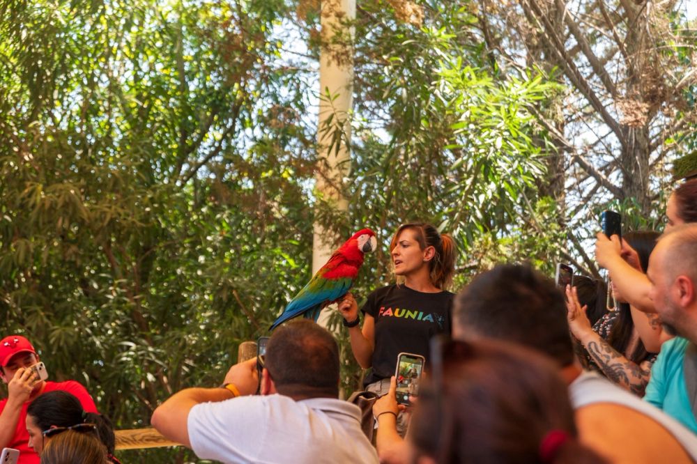 Faunia 10-08-2024