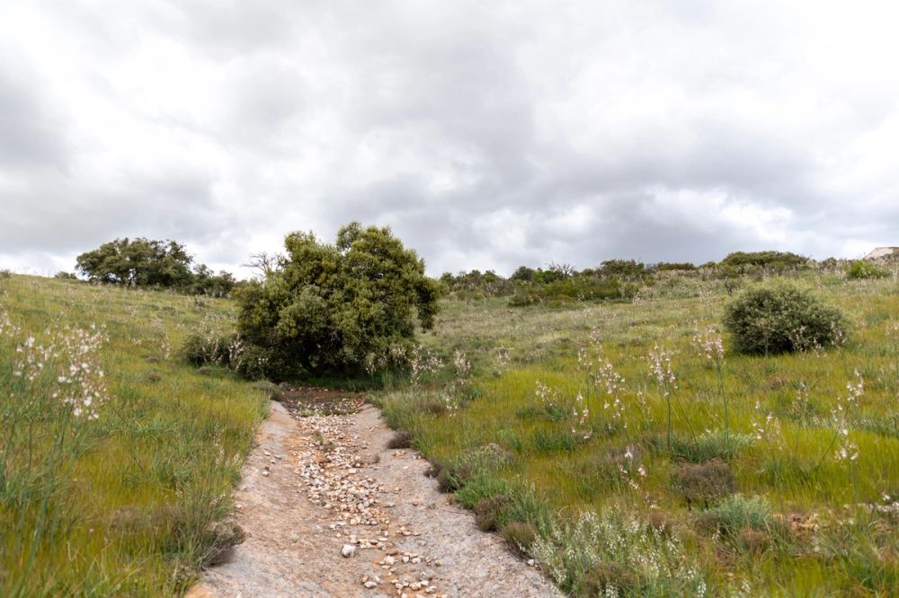 Sierra de Corral de Almaguer 03-05-2025