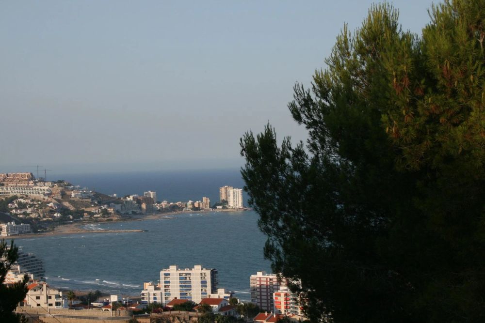 cullera 2009