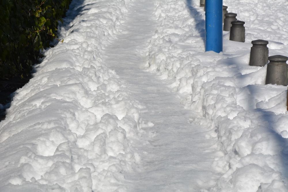 Leganes Nevado 2021 Dia 2