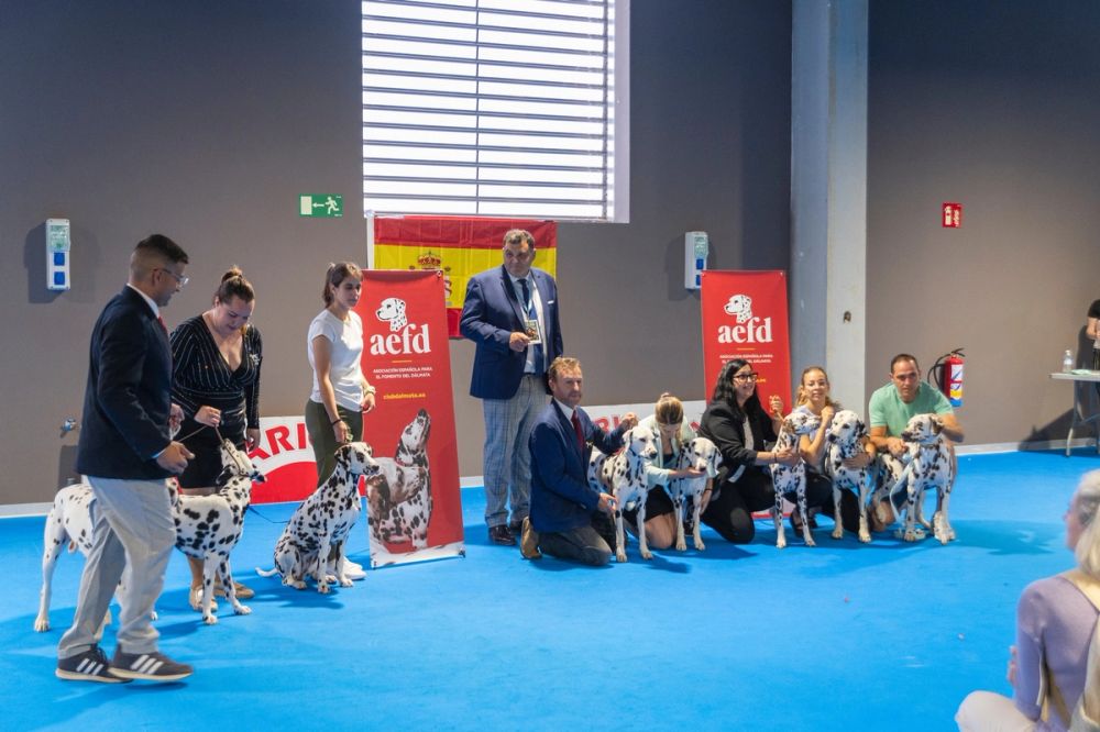 Exposicion canina (ciudad real) 02-06-2024