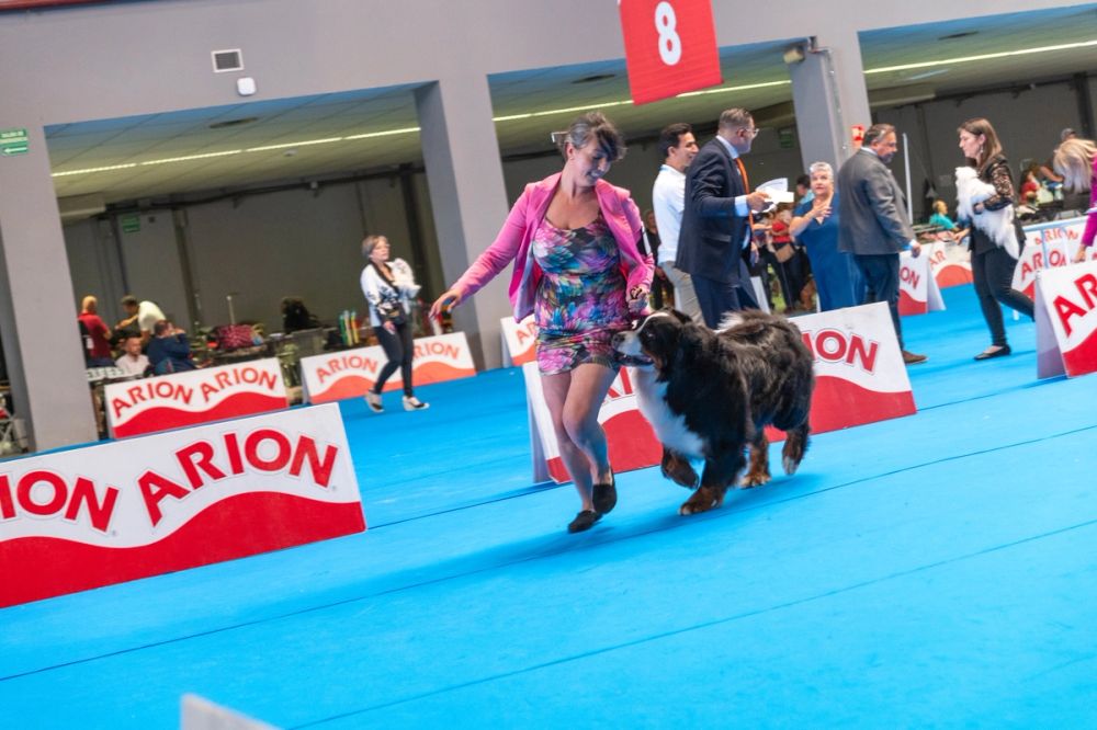Exposicion canina (ciudad real) 01-06-2024