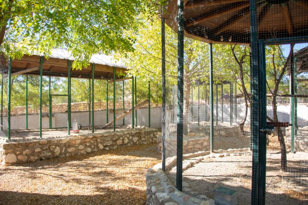 Zoo de Lillo 03-09-2022