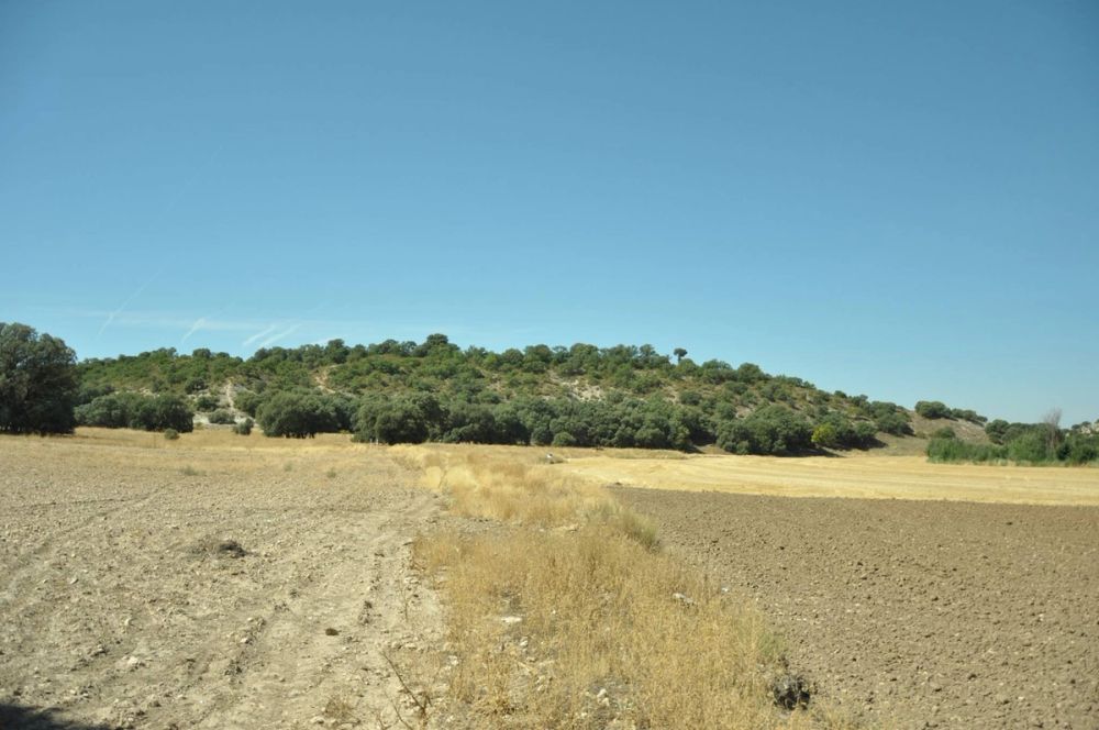 Valle de Lillo 2017
