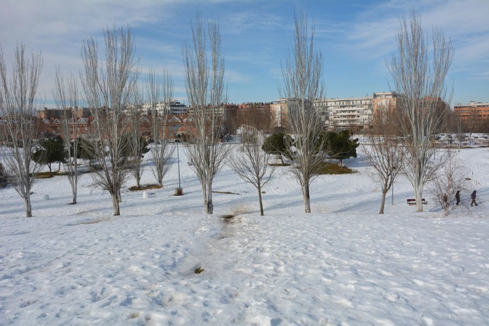 Leganes Nevado 2021 Dia 3