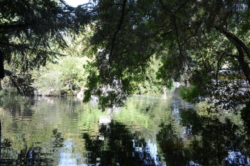 Parque de El capricho (Madrid) 2018