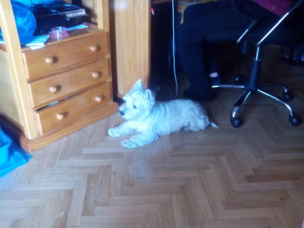 Luckky