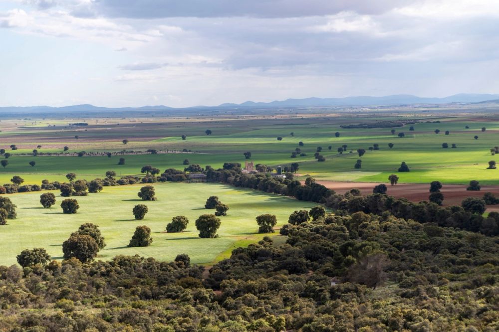 Sierra de Corral de Almaguer 03-05-2025