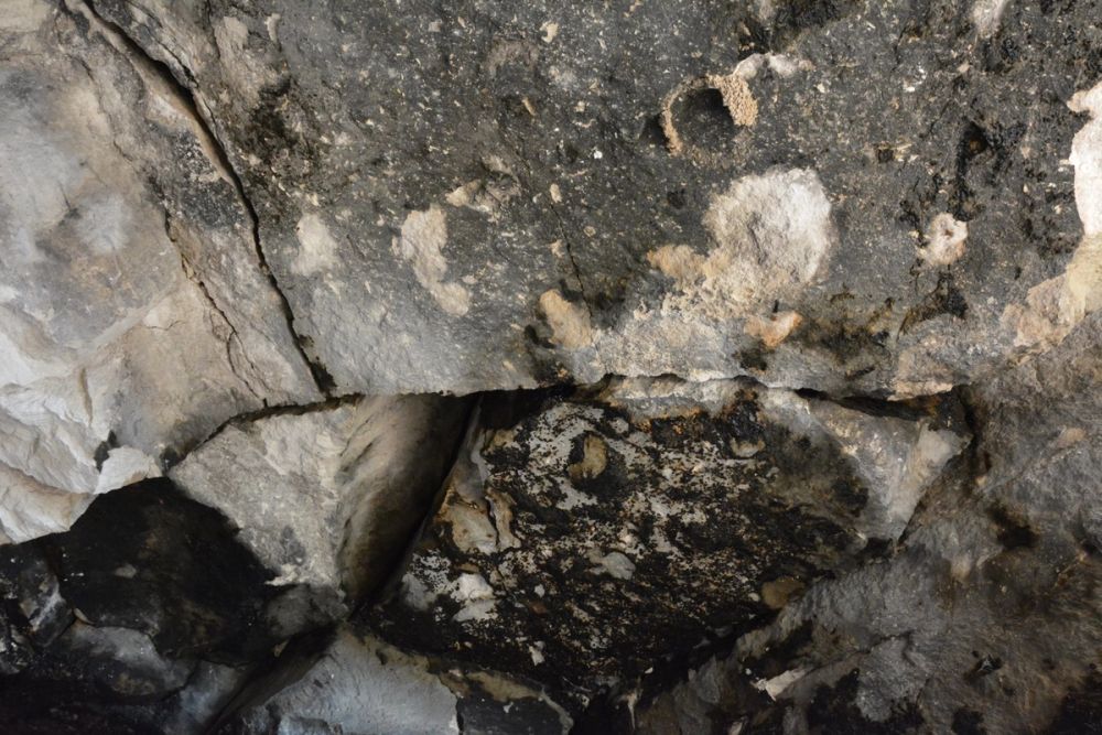 Cuevas del valle de Lillo 2020