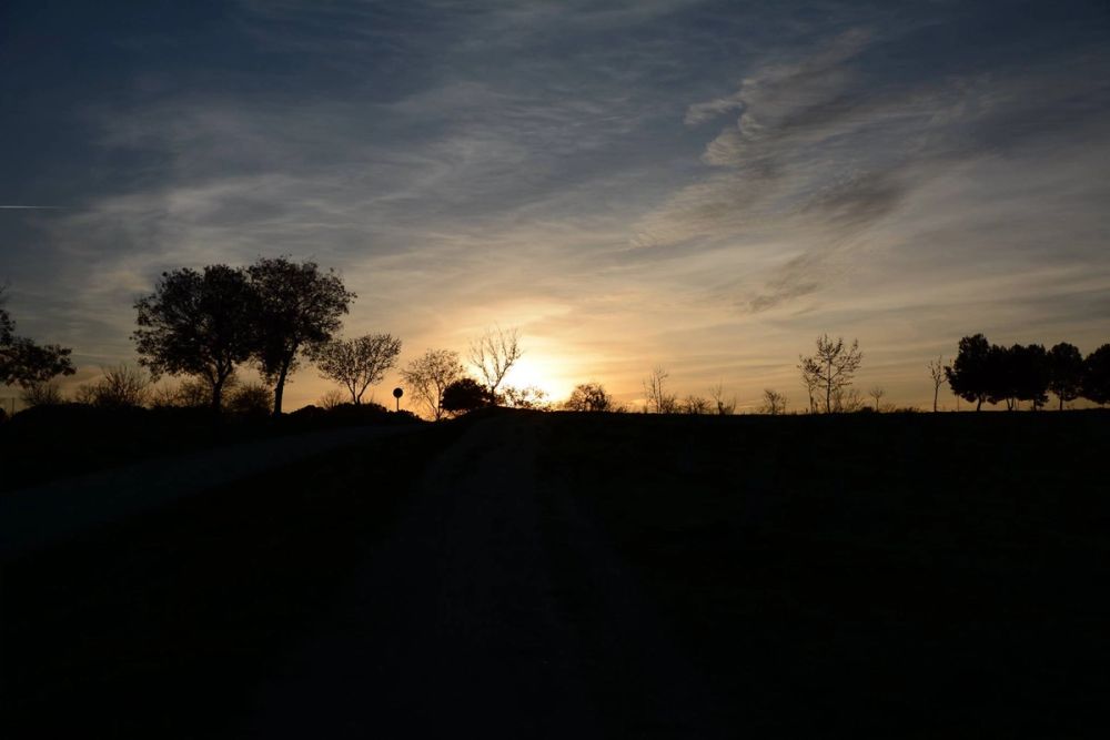 Parque Polvoranca (Leganes) 18-03-2017