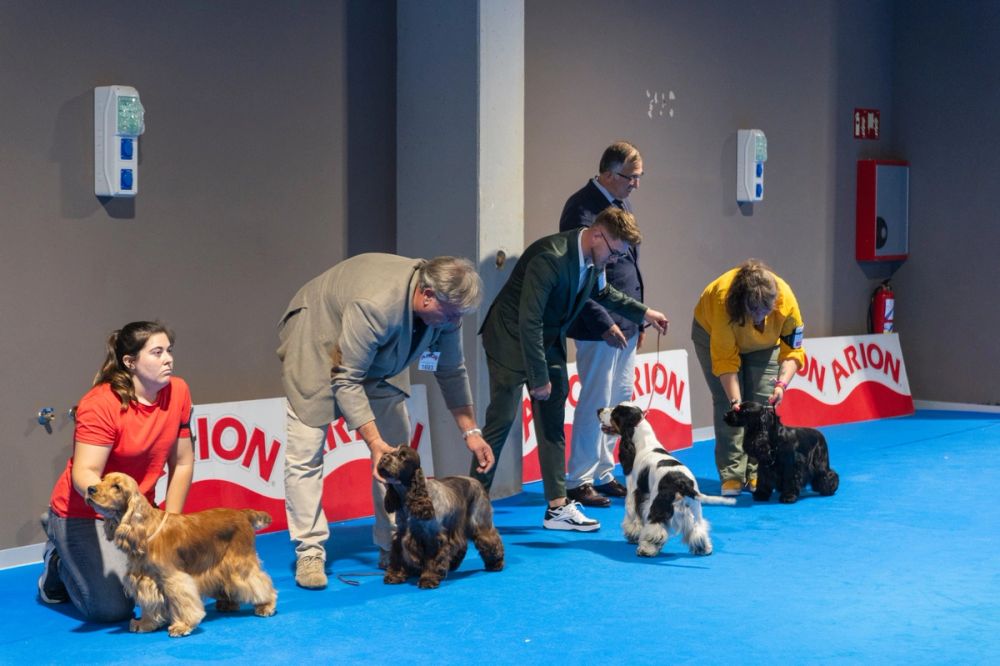 Exposicion canina (ciudad real) 02-06-2024
