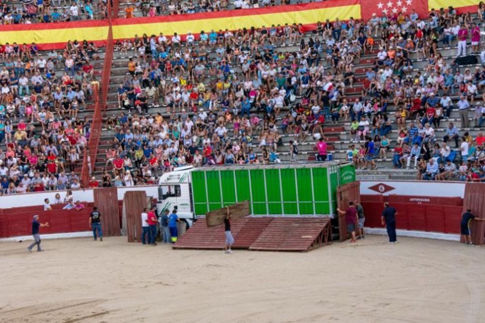 Toros en Colmenar Viejo 22-08-2019
