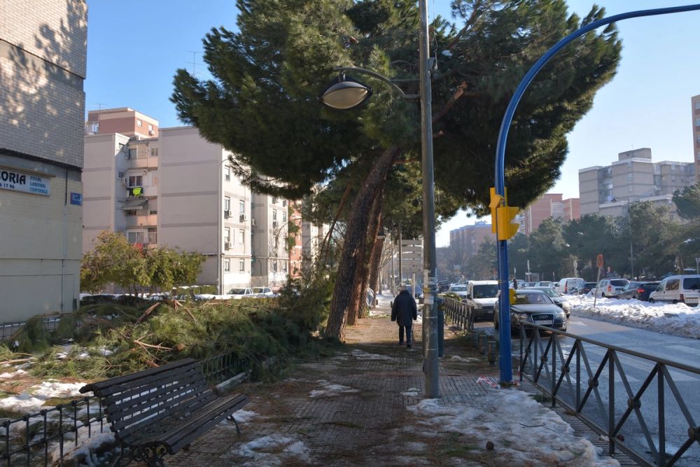 Leganes Nevado 2021 Dia 4
